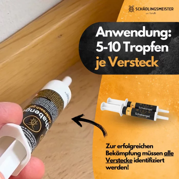 Schaben Komplettlösung - Image 3
