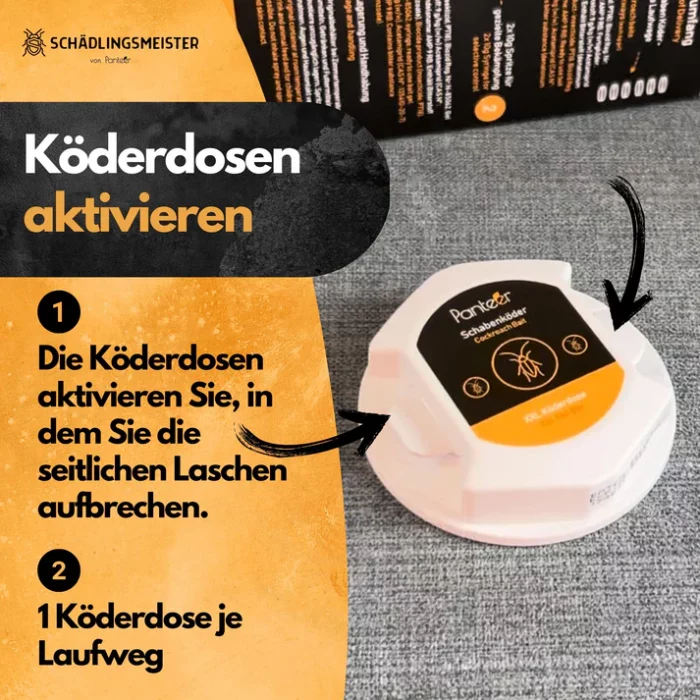 Schaben Komplettlösung - Image 4