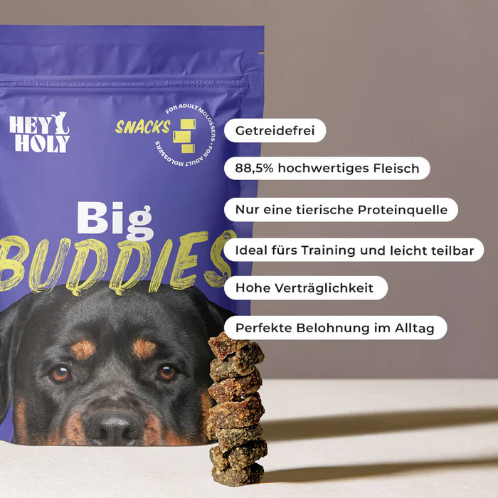 Big Buddies - Image 4