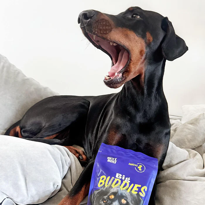 Big Buddies - Image 3