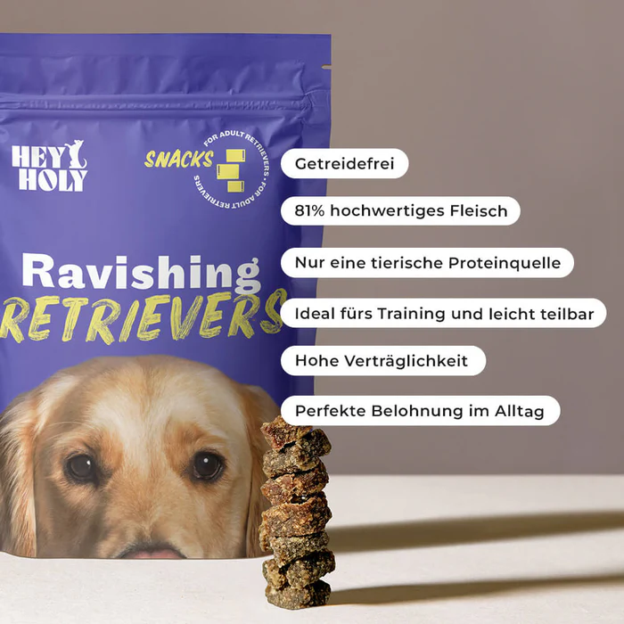 Ravishing Retrievers - Image 5