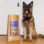 Shine-bright Shepherds - Image 4